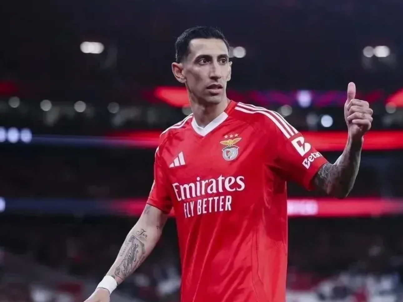 AYX-清晨本菲卡调整名单以备德甲；队长鼓劲环节打磨；赛场秩序良好；轮换策略成焦点的简单介绍  第1张